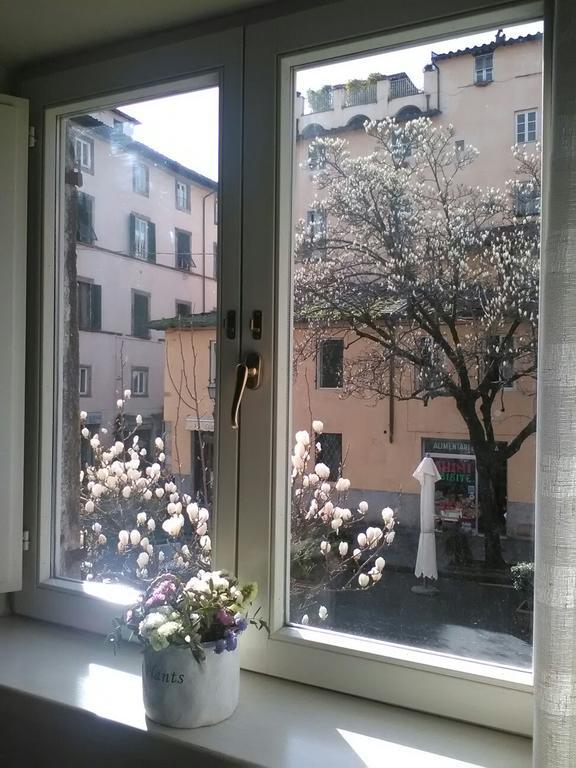 Suite Sofia Лукка Екстер'єр фото